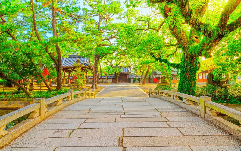 初詣におすすめ！車椅子利用者でも安心できるバリアフリー充実の神社仏閣